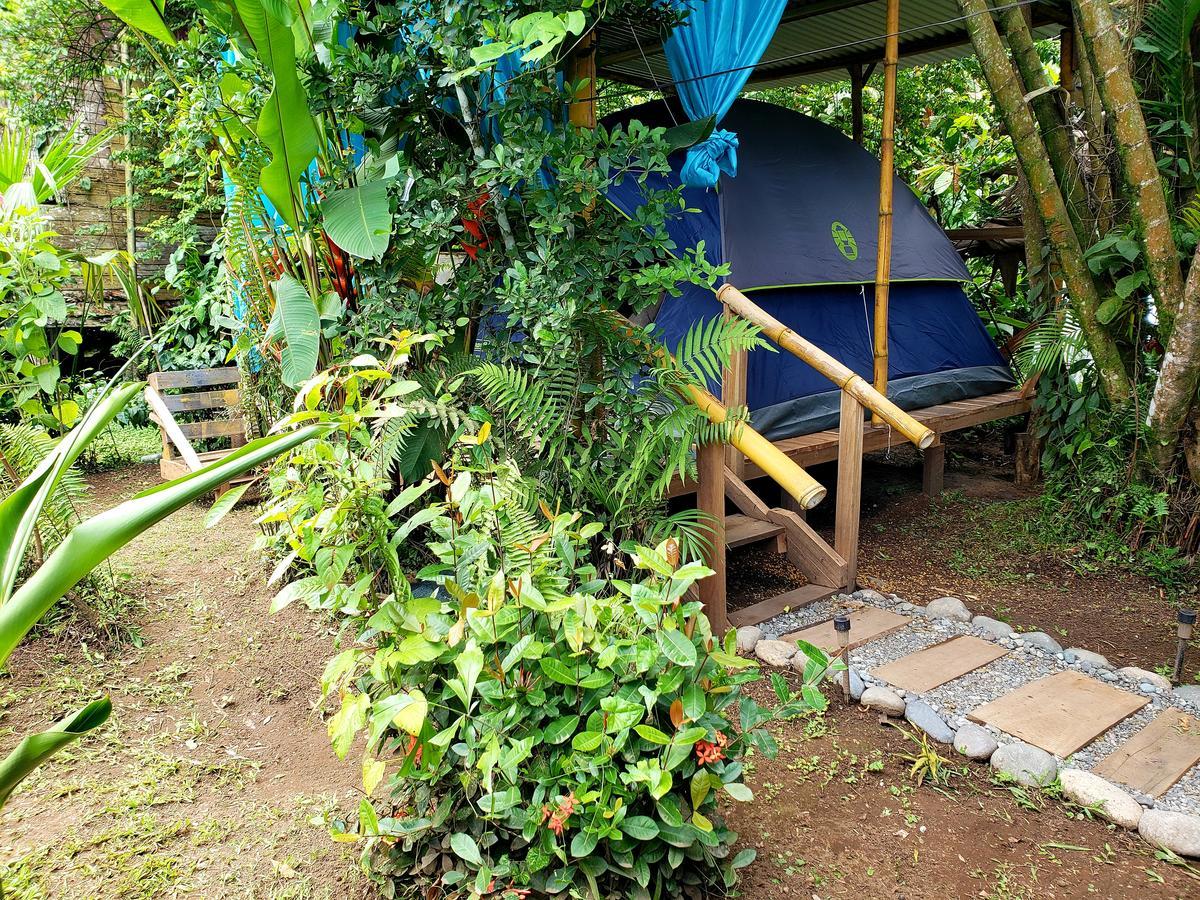 Camping Rooms Shalton Cahuita Exterior foto