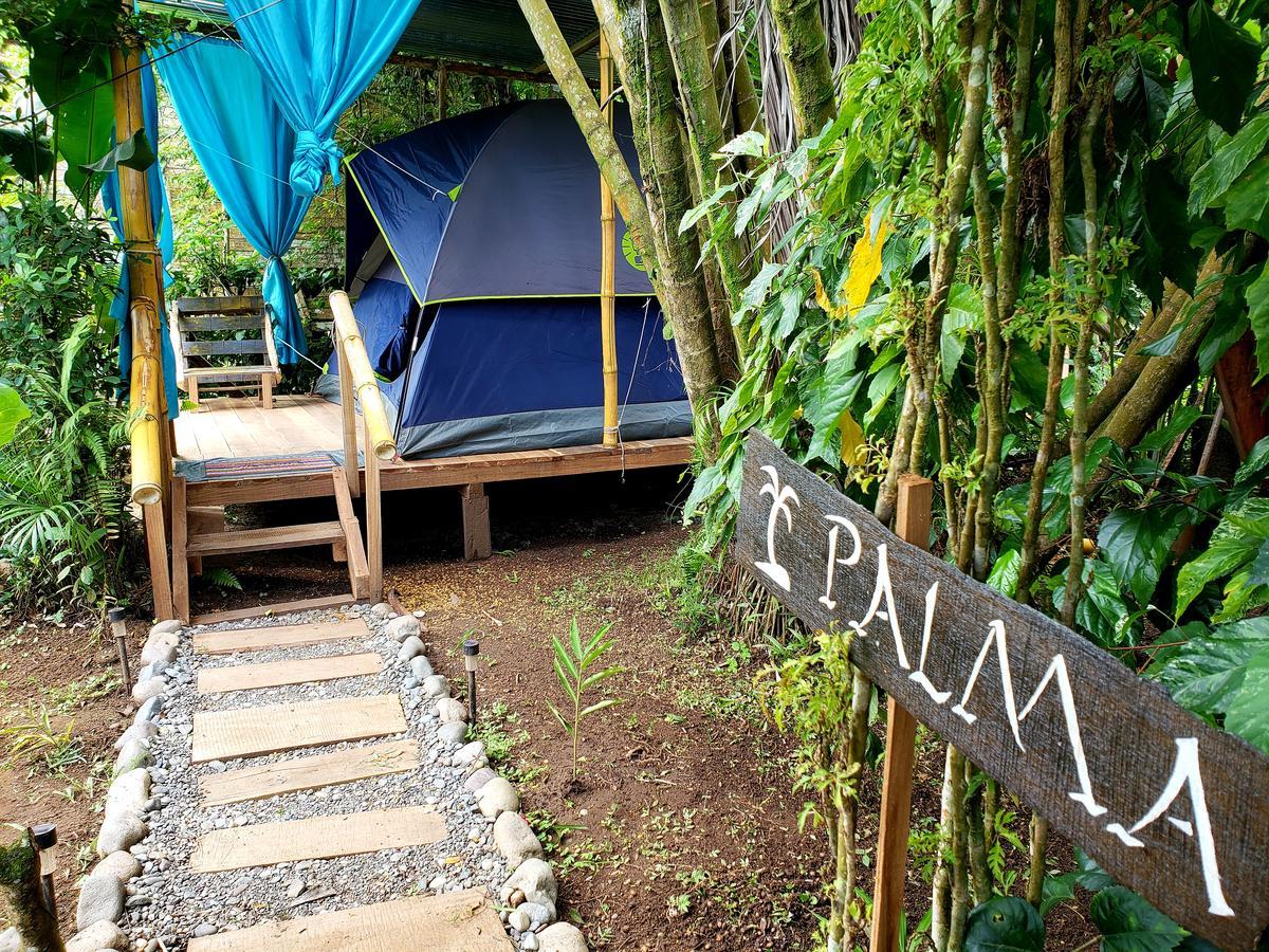 Camping Rooms Shalton Cahuita Exterior foto