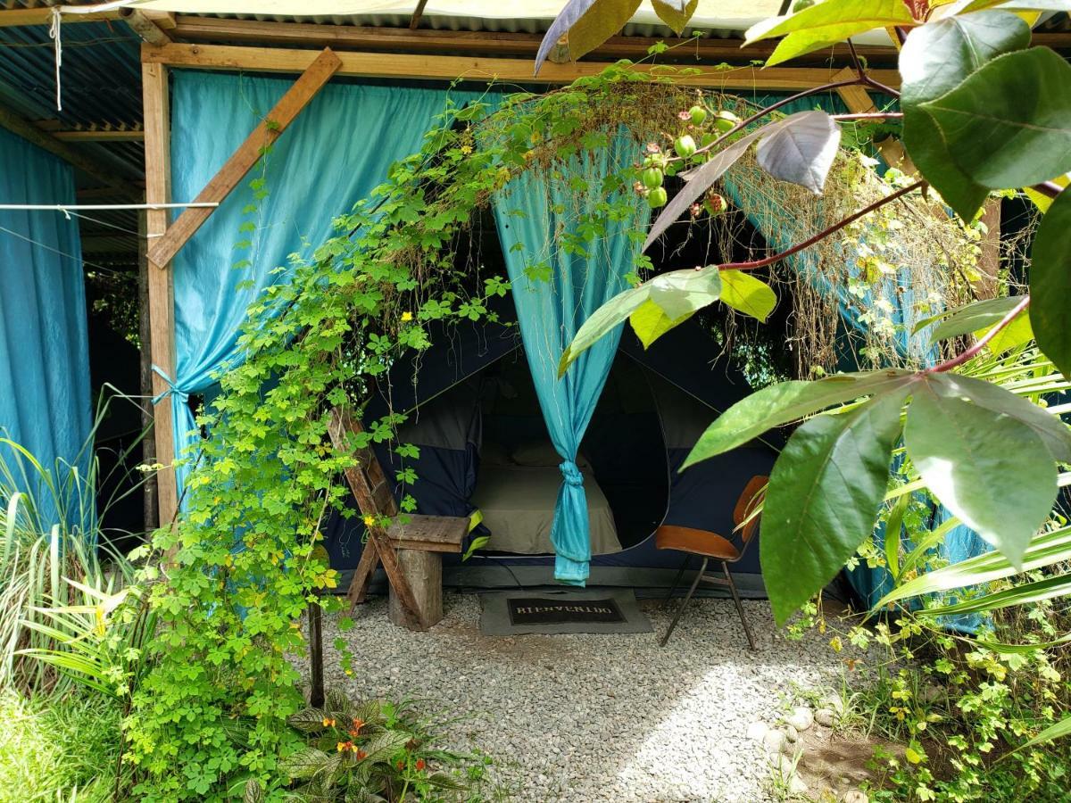 Camping Rooms Shalton Cahuita Exterior foto